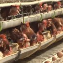 해들농장 이미지