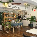 피즈클럽(FIZZ CLUB) 이미지