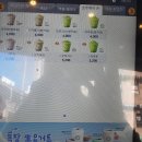 아마스빈버블티 티스토리