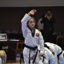 코리아타이거즈태권도 이미지