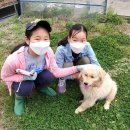 평화원 이미지