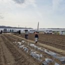 구름밭농장 이미지