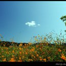 꿈틀거리는 마을 이미지