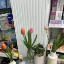 주식회사 해피조이 이미지