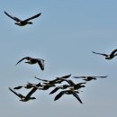 남양3리 이미지