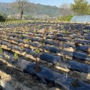 용권농장 이미지