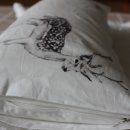 엄지어린이집 이미지