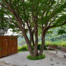 황금1호태양광발전소 이미지