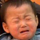 설렘투어 이미지