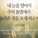 묵상 - 시편 119편 17절에서 32절 이미지