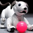 보라산업 이미지