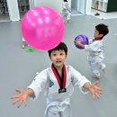 화진 태권도장 이미지