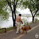 택견전수관화장실 이미지