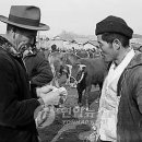 수원-1905 이미지