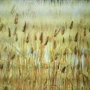 추억속에 보리밥 이미지