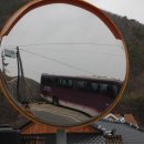 홍현보건진료소 Daum카페