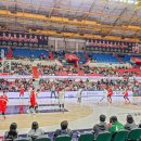 새한현대서비스(주) | 울산 실내데이트 추천 가볼만한곳 현대모비스 피버스 농구 경기 직관 후기