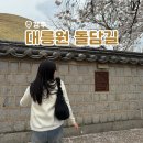 돌담길 | 2025년 경주 대릉원 돌담길 벚꽃축제 다녀온 후기 내년 봄이 기다려져요