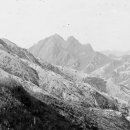 1920 Daum카페