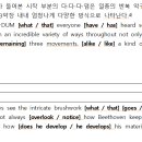 스마트보카어비스 이미지