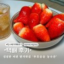 싱싱한 온라인 과일맛집 푸릇송송 농수산 킹스베리 대왕딸기 왕특 후기