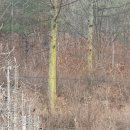 청태농장 이미지