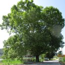 경기둘레길 이천38코스 이미지