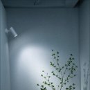 쁘띠헤어 이미지