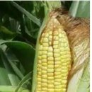 404피트니스 신항점 이미지