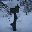 곰배령설피마을 이미지