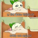 버터키토 이미지