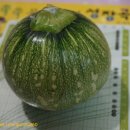 오남매농장 이미지