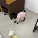 다가올네일