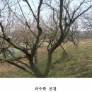 효촌2리 마을회관 네이버블로그