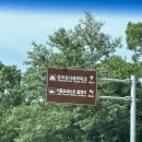 리틀포레스트 촬영지 | 경북 근교 가볼만한 데이트 여행 장소 군위 영화 리틀포레스트 촬영지 후기