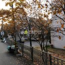 삼작로 410번길 이미지