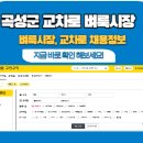 곡성-004 티스토리