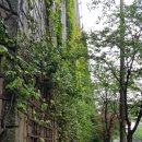 당구장 가는길 이미지