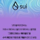 디엠네트워크 이미지