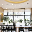 남양성심요양원 네이버블로그