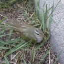 덕풍산장 이미지