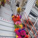 생활용품DC마트 | 예천군 생활용품매장 생활용품DC마트에서 주방용품 사가지고 왔어요