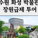 수원-0236 이미지