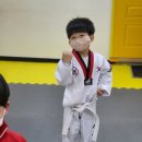 경이로운 태권도 이미지