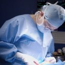 에이드동물병원 | [에이드 동물병원] 강아지 슬개골 탈구, 수술을 위한 동물병원 어떻게 선택해야 할까?