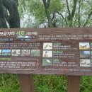 [도로]일월공원 주차장1 이미지