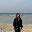페브먼트 네이버블로그