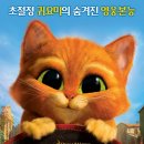 마성의냥이