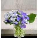 윤정축산 이미지