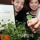 클로버 - 계양구 계산로 79 | 클로버